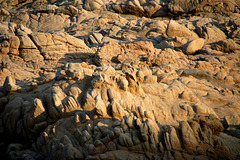 Plage de sable encore collé