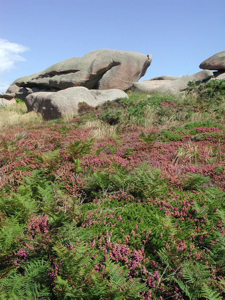 BRETAGNE 2005