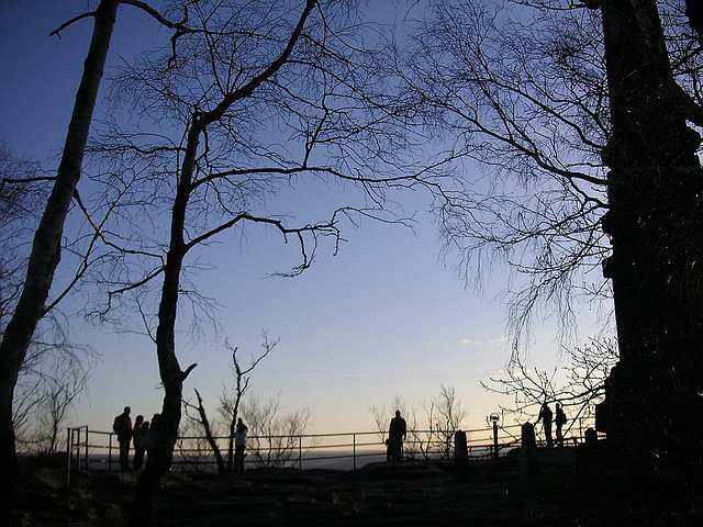 Auf dem Lilienstein