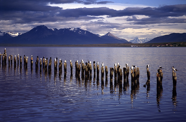 Puerto Natales - Evening