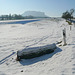 Winterstimmung in der Sächsischen schweiz 22-1-09