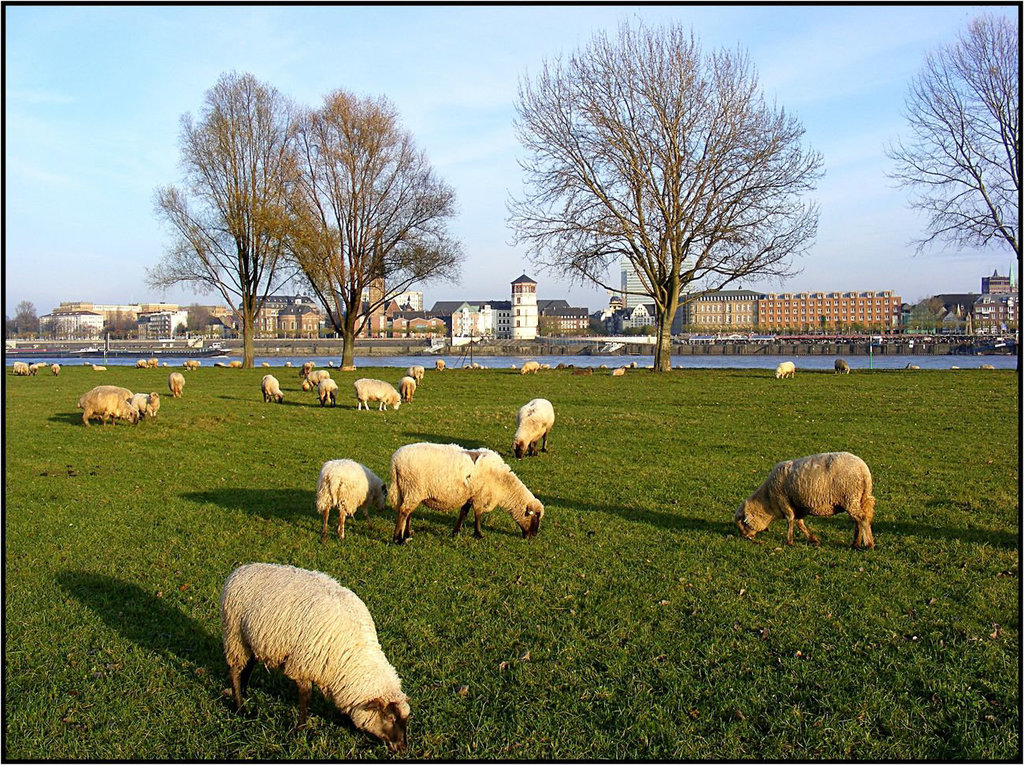 Düsseldorf 060