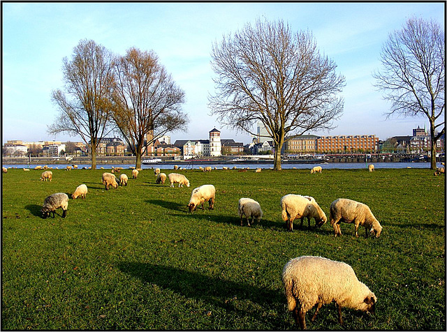 Düsseldorf 066