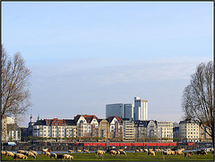 Düsseldorf 070