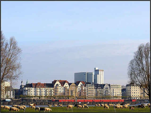 Düsseldorf 070