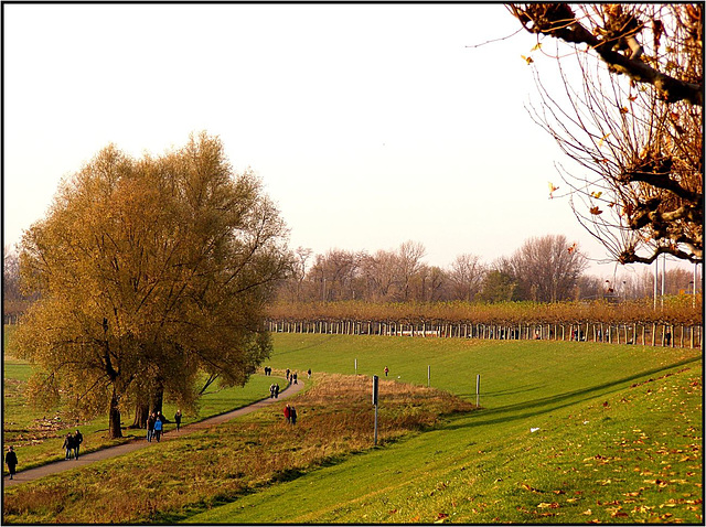 Düsseldorf 072