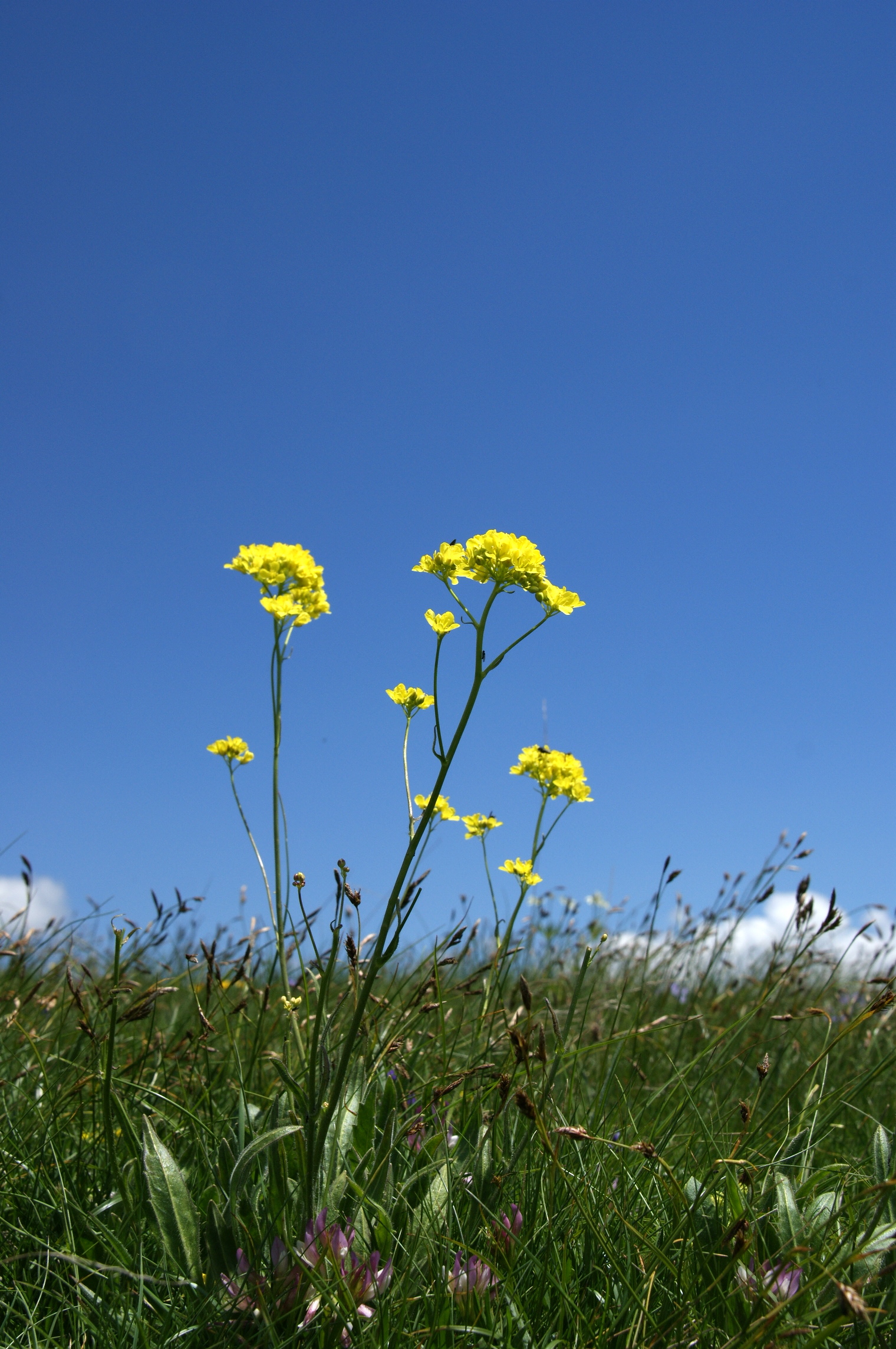 DSC00657 DSC00657