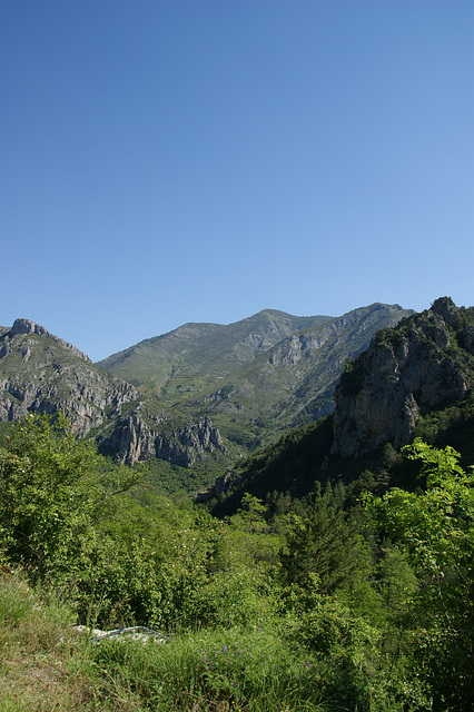 La vue depuis notre terrain