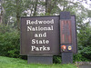 Redwood NP
