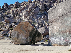 Giant Rock (2630)