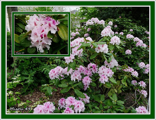 JARDIN DES BEAUX ARTS