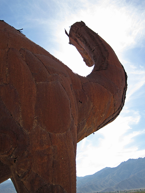 Ricardo Breceda's Camelops sculpture in Galleta Meadows Estate (4459)