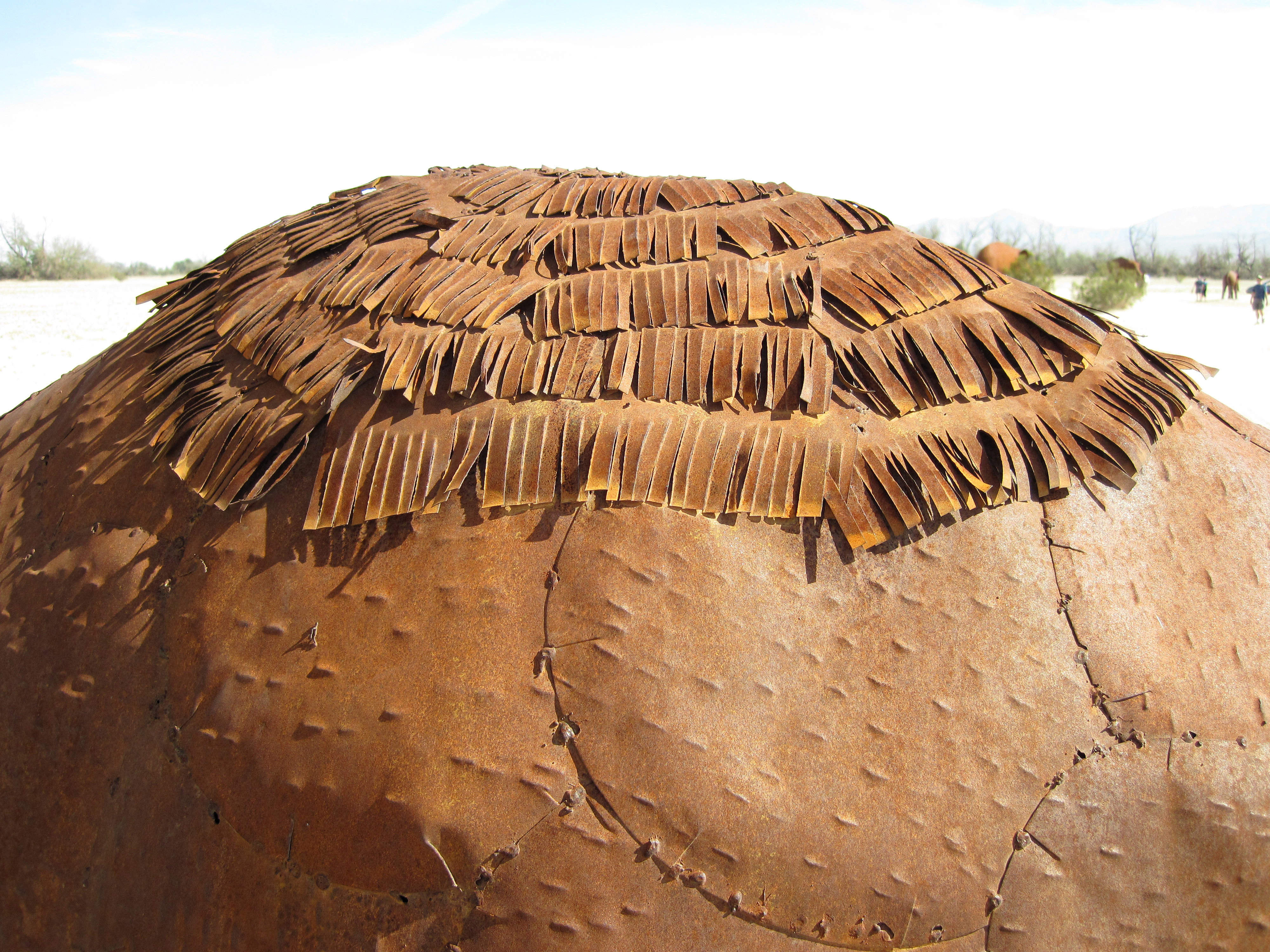 Ricardo Breceda's Camelops sculpture in Galleta Meadows Estate (4461)