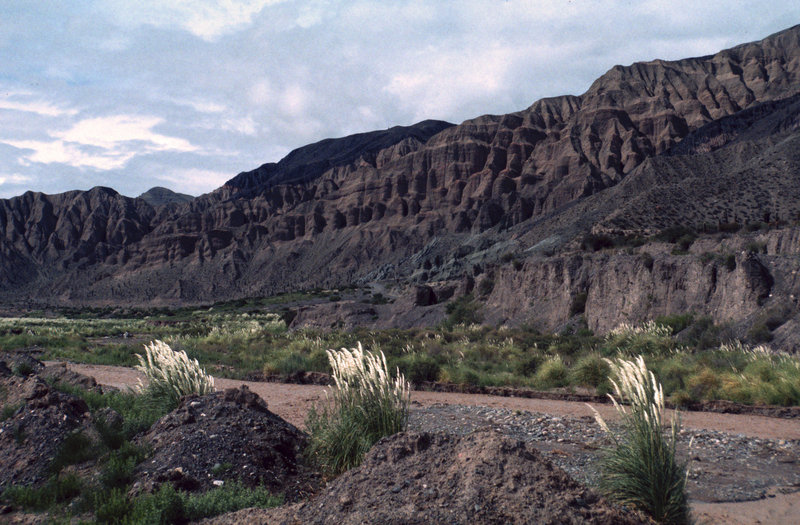 Geology in Grey-Pink