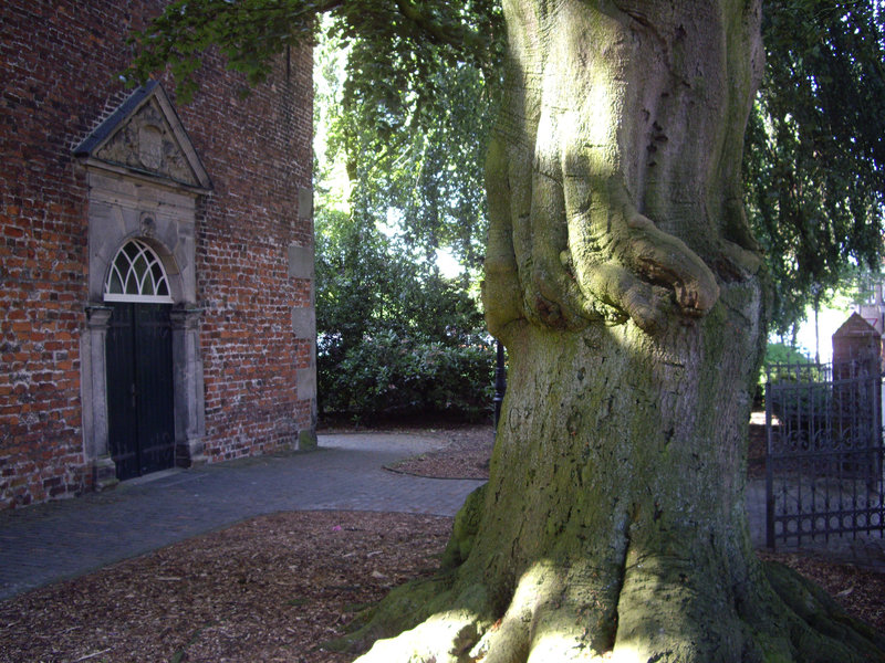 Die Lutherkirche in Leer