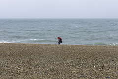 Torcross - 20130410