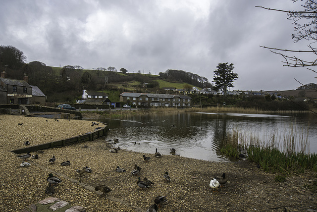 Torcross - 20130411