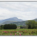 Paysage drômois (3)