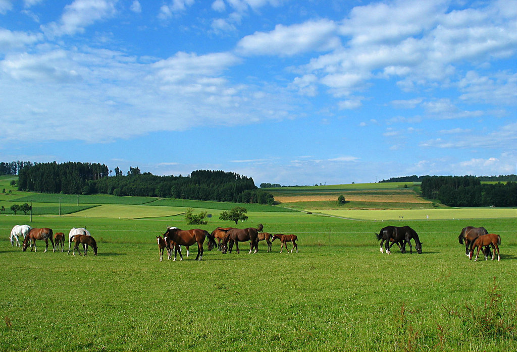 ländliche Idylle