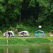 Fahrt auf der Elbe - Ekskurso sur Elbe - tour sur L'Elbe