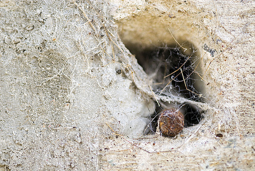 Concrete, rust and cobwebs