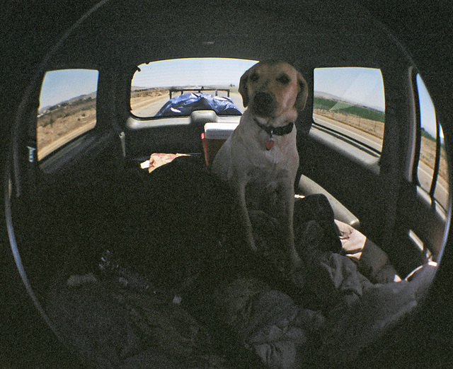 Tucker Riding Into Saline Valley (4611)