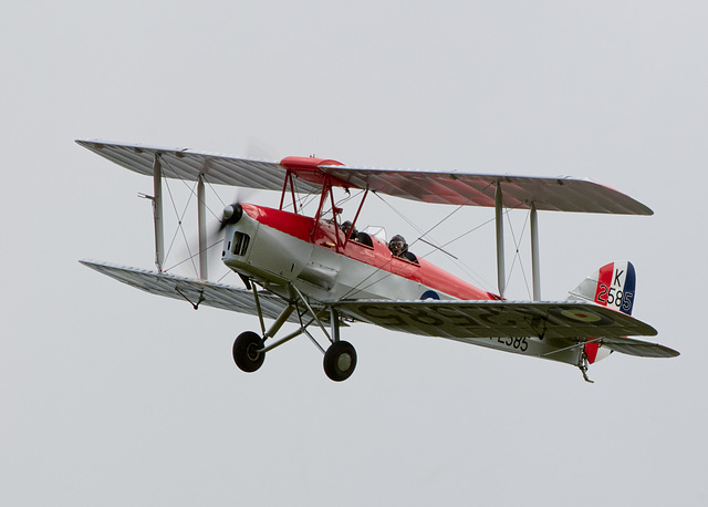 Tiger Moth