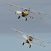 Hawker Hind and Demon (b)