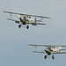Hawker Hind and Demon