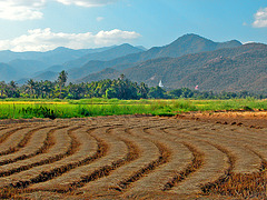 Landscape in northern Thailand