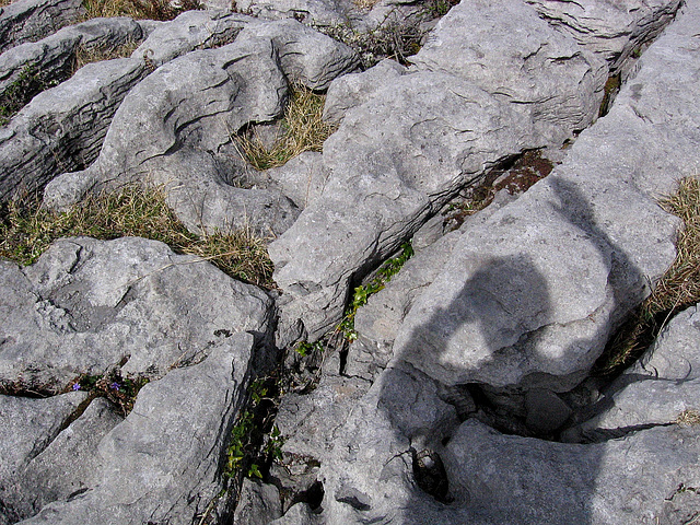 The Burren