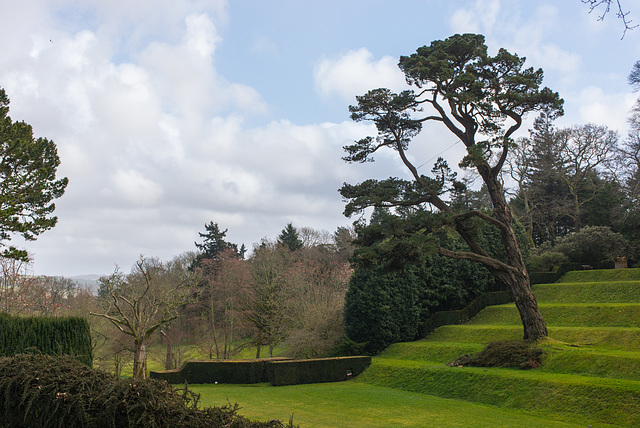 Dartington Hall - 20130411