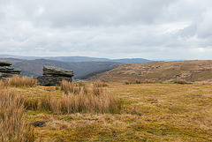 Dartmoor - 20130412