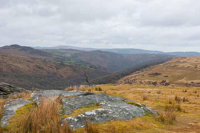 Dartmoor - 20130412