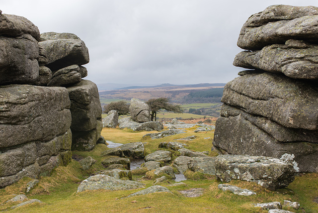 Dartmoor - 20130412