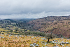 Dartmoor - 20130412