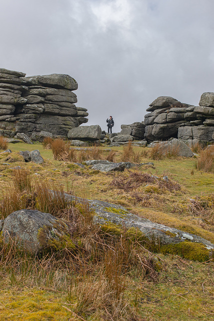 Dartmoor - 20130412