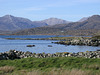 Connemara