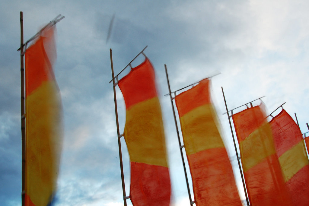 Stormy Flags