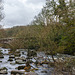 River Dart - Dartmoor - 20130412