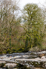 River Dart - Dartmoor - 20130412