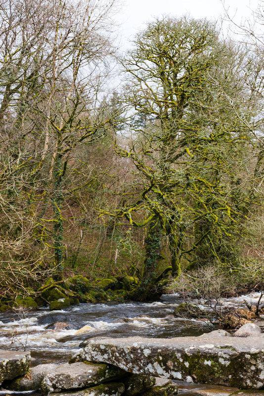 River Dart - Dartmoor - 20130412