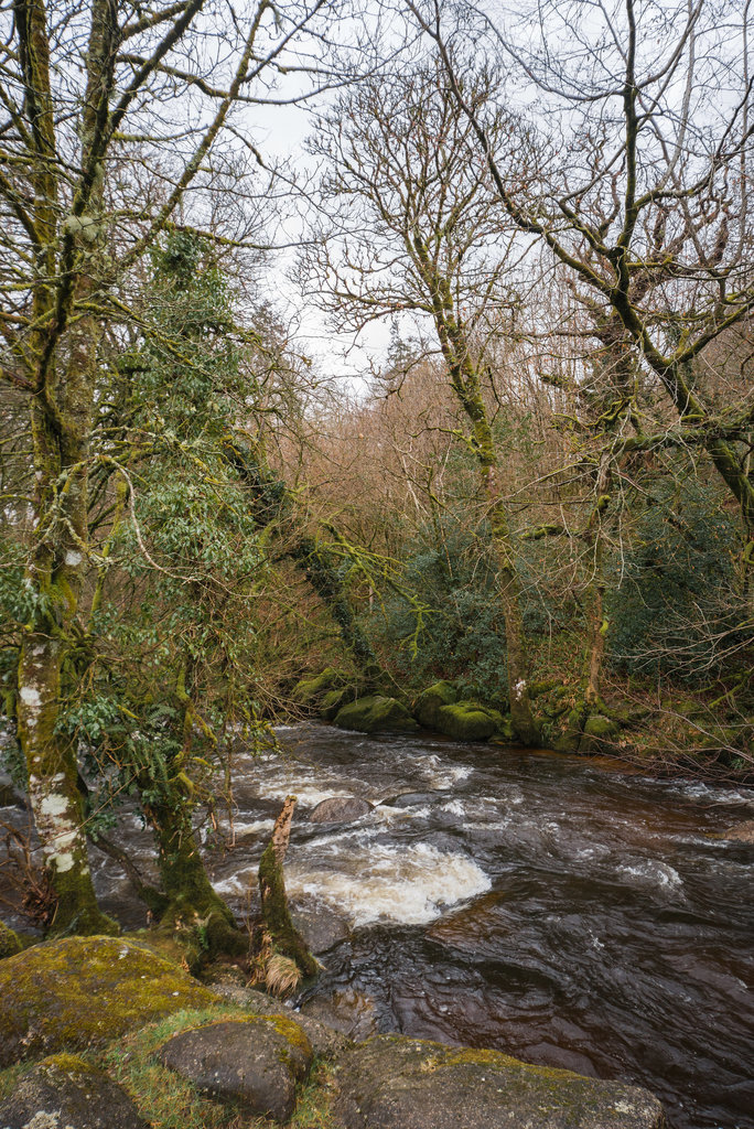 River Dart - Dartmoor - 20130412