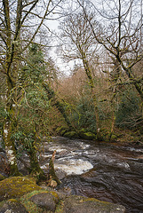 River Dart - Dartmoor - 20130412