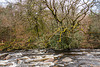 River Dart - Dartmoor - 20130412