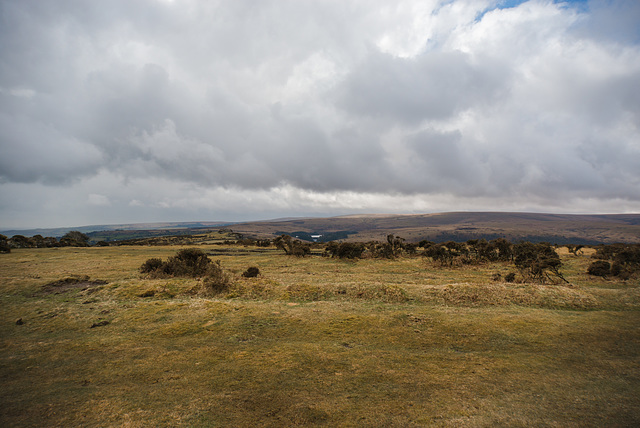 Dartmoor - 20130412