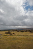 Dartmoor - 20130412