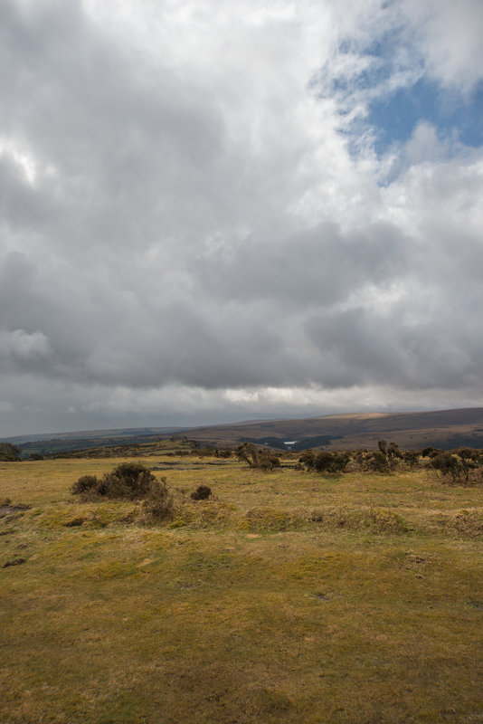 Dartmoor - 20130412
