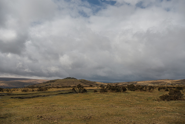 Dartmoor - 20130412