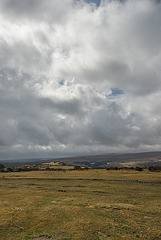 Dartmoor - 20130412